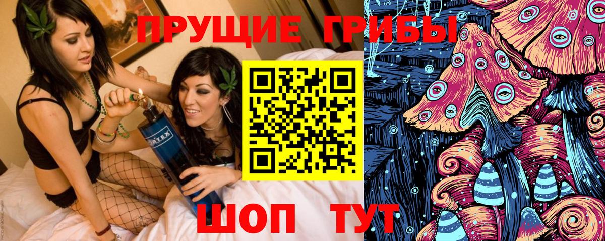 где продают наркотики  Псилоцибиновые грибы Psilocybe  Вход с VPN  Вязники 